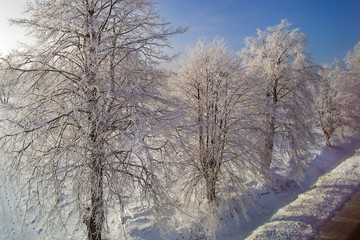 Fresh snow in countryside of Latvia.