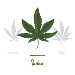 Marijuana, Cannabis icons. Set of medical marijuana icons. Drug consumption.
