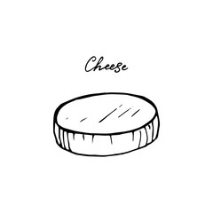Vector illustration of hand drawn cheese. isolated on white background.