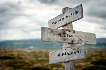 Appreciate the moment text on wooden rustic signpost outdoors in nature/mountain scenery. Love life concept.