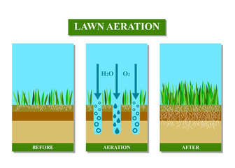 Lawn aeration before and after, vector illustration.