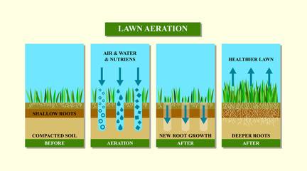 Lawn aeration before and after, vector illustration.