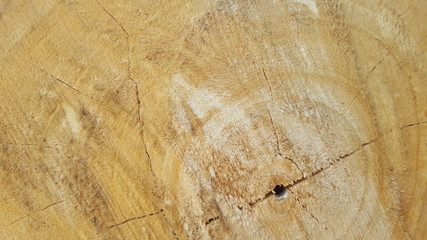Soft wood grain. Material for making pallets or package wrappers