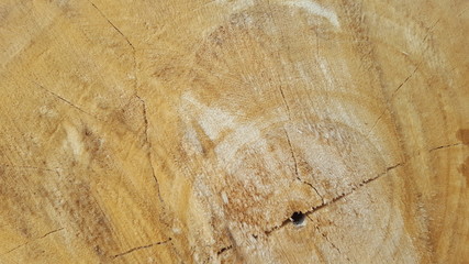 Soft wood grain. Material for making pallets or package wrappers