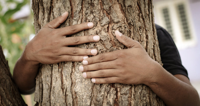 Concept of Chipko movement or Chipko Andolan - Hands hugging tree showing of save tree.
