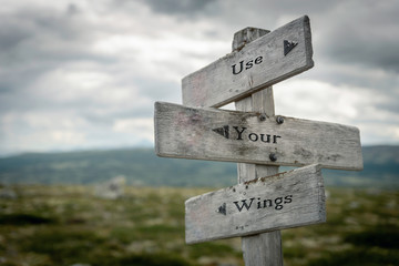 Use your wings text on wooden rustic signpost outdoors in nature/mountain scenery. Wisdom and freedom concept.