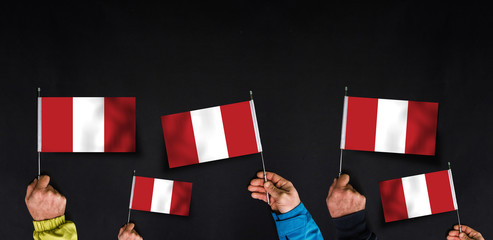 Hands holds flags of Peru on dark background