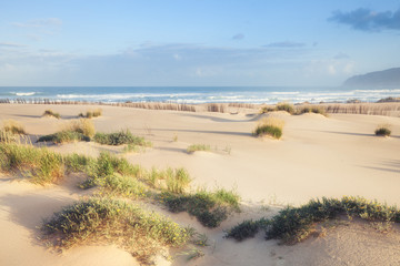 Beautiful white sand dune beach by ocean. Florida, USA