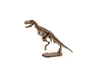 Tyrannosaurus dinosaur skeleton on a white background.
