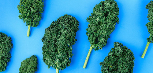 Creative layout made of kale. Flat lay. Food concept.