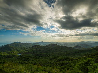 山
