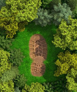  concept of ecology. Imprint of a human footprint in nature. 3d illustration