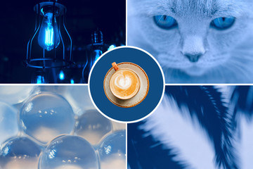 Collage concept from blue tining photos. Cat, balls, shadows palm, coffee and lump.