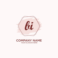 Initial BI handwriting Logo, and Brush and hexagon lines template
