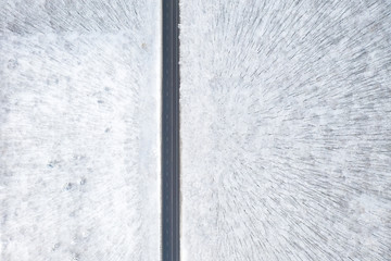 Fototapeta premium beautiful winter forest and the road