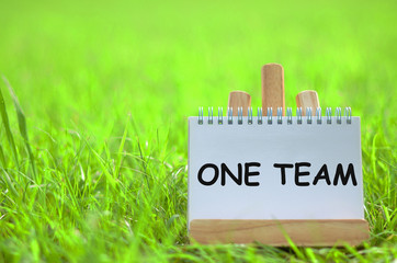 ONE TEAM