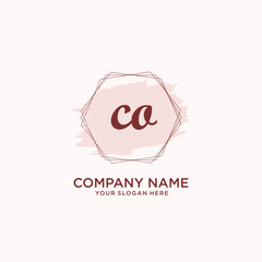 Initial CO handwriting Logo, and Brush and hexagon lines template