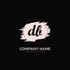 Initial DB handwriting Logo, and Brush and hexagon lines template