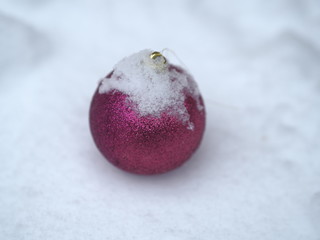 Christmas decoration ball in the snow in the winter fell from a Christmas tree