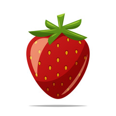 Strawberry fruit vector isolated illustration