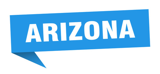 Arizona sticker. Blue Arizona signpost pointer sign