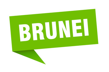 Brunei sticker. Green Brunei signpost pointer sign