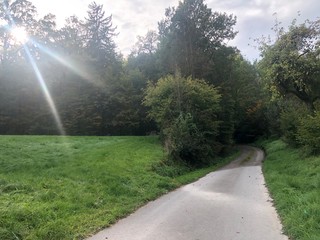 Caminos