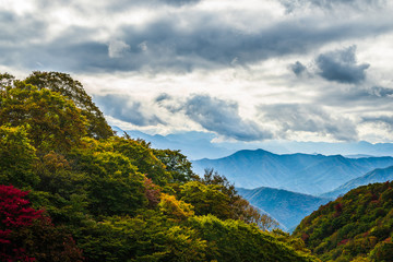 秋の日塩もみじライン　Leaves change color in the autumn.