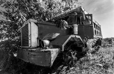 Fototapeta na wymiar dramatic black and white image of old rusted truck in an overgrown field in the caribbean.