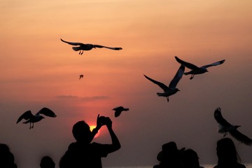 Fototapeta na wymiar Silhouette sunset with seagulls flying shadow and a group of people watching and taking a picture 