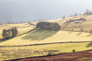 landscape with green fields in the Brecon Beacons National Park, Wales.