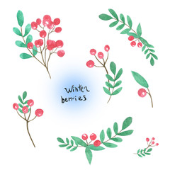 watercolor winter set of twigs with berries