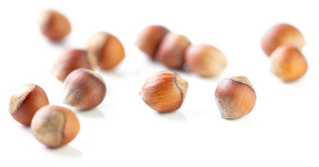 Hazelnuts nuts isolated on a white background