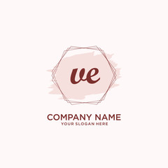 Initial VE handwriting Logo, and Brush and hexagon lines template