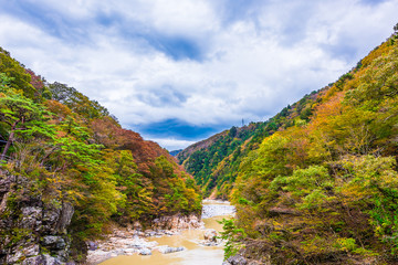 龍王峡の紅葉　Leaves change color in the autumn.