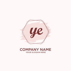 Initial YE handwriting Logo, and Brush and hexagon lines template