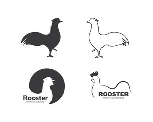 Fototapeta na wymiar rooster logo vector illustration template