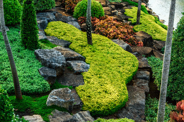 Landscape design in a tropical garden