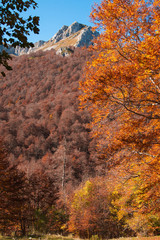 The peak of mount Terminillo in the autumn season in Lazio