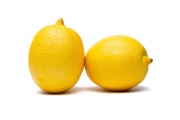 lemons on a white background