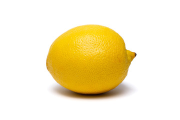 lemon on a white background
