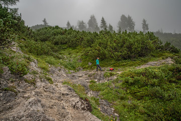 hikers in the austrian alps walk on mountain hiking trails in the woods around the lakes