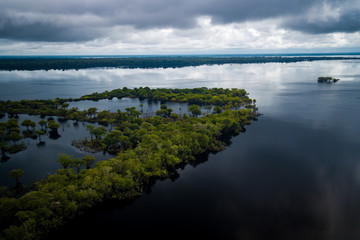 The mouth of the Jaú River is within the Jaú National Park and houses great biodiversity of the Amazon biome. amazonas, Brazil