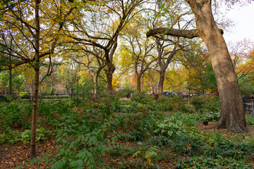 Obraz premium Tompkins Square Park in the East Village of New York City during Autumn