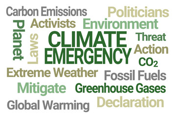 Climate Emergency Word Cloud on White Background