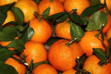 Juicy fresh tangerines with leaves on the table