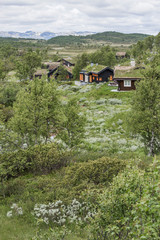 Fototapeta na wymiar Norwegen - Hardangervidda Nasjonalpark / Mosvatn Fjellpark