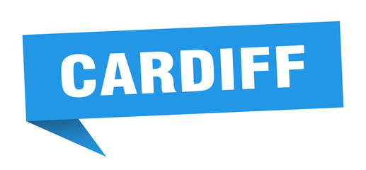 Cardiff sticker. Blue Cardiff signpost pointer sign