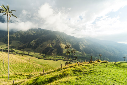 Panoramic Views of The Cocora Valley in Salento, Quindío, Colombia.