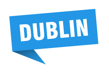 Dublin sticker. Blue Dublin signpost pointer sign